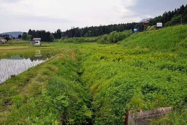 take20180620_1_610.jpg