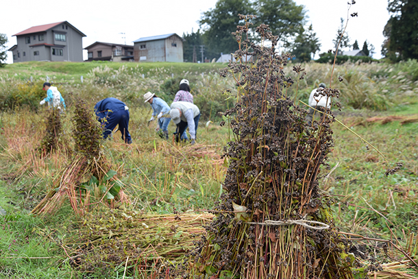 yoshiharu-takeuchi-cybozu-multiwork (15) -610.jpg